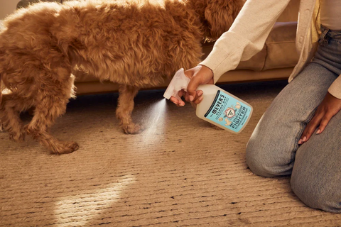Mrs Meyers Pet Stain & Odor fighter Coconut Leaf 473ml