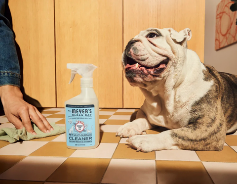 Mrs Meyers Pet Multi surface cleaner Coconut Leaf 473ml